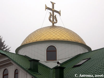 Купол Свято-Успенського монастиря села Райківщина